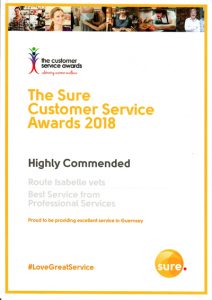 Sure Customer Service Award 2018